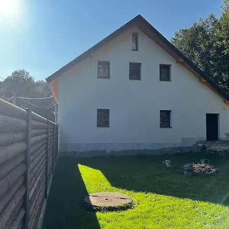 Netopyr *