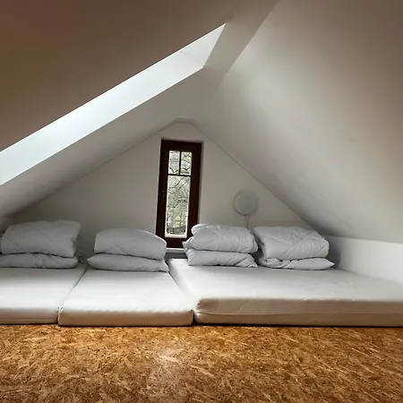 Tatil Evi Netopyr