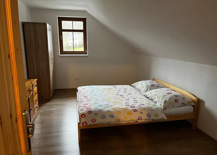Netopýr Černá Voda